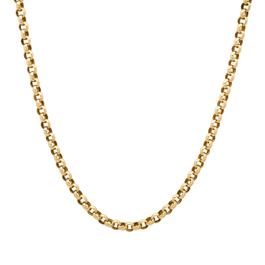 rolo chainlink necklace against a white background